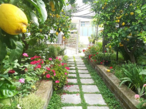 Il vialetto dei limoni
